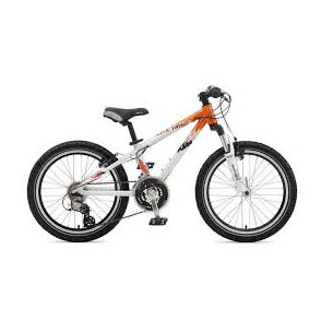 Mountain e-Bike