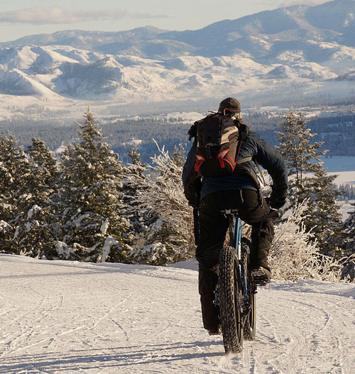 Fat Bike