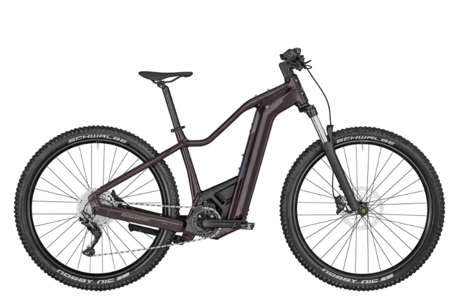 PERFORMANCE E-Bike (Front) - Foto 1743416587154