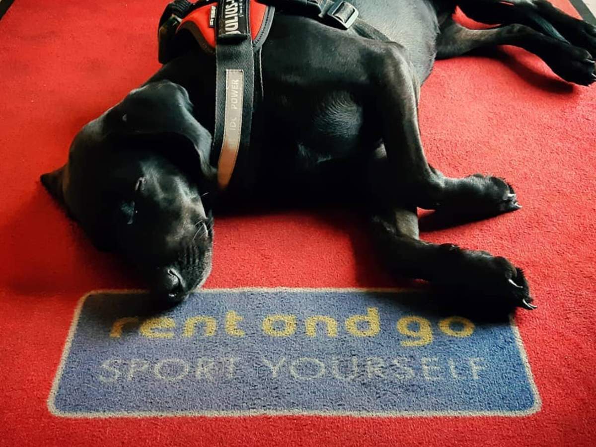 Ski rental La Thuile Only Ski & Snowboard Express (Entrèves) Rent