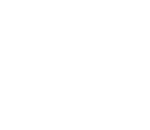 ALPINE SKIING