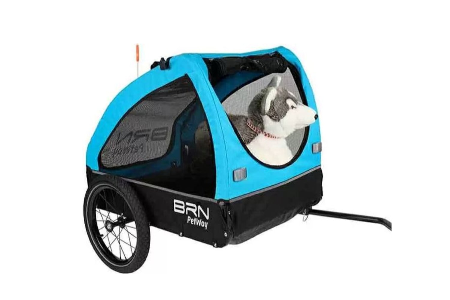 Rimorchio per cani