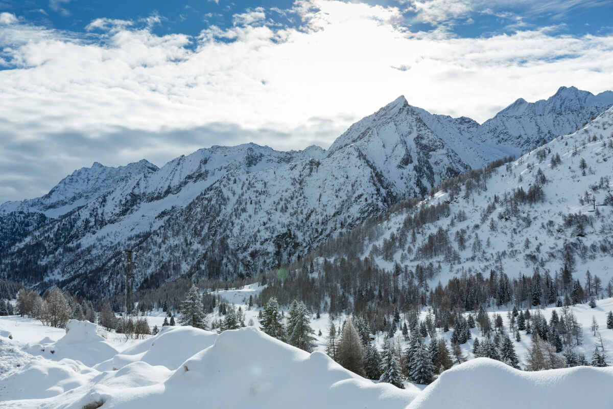 Noleggio sci Passo Del Tonale (Vermiglio) - Noleggio Delpero - Foto 10