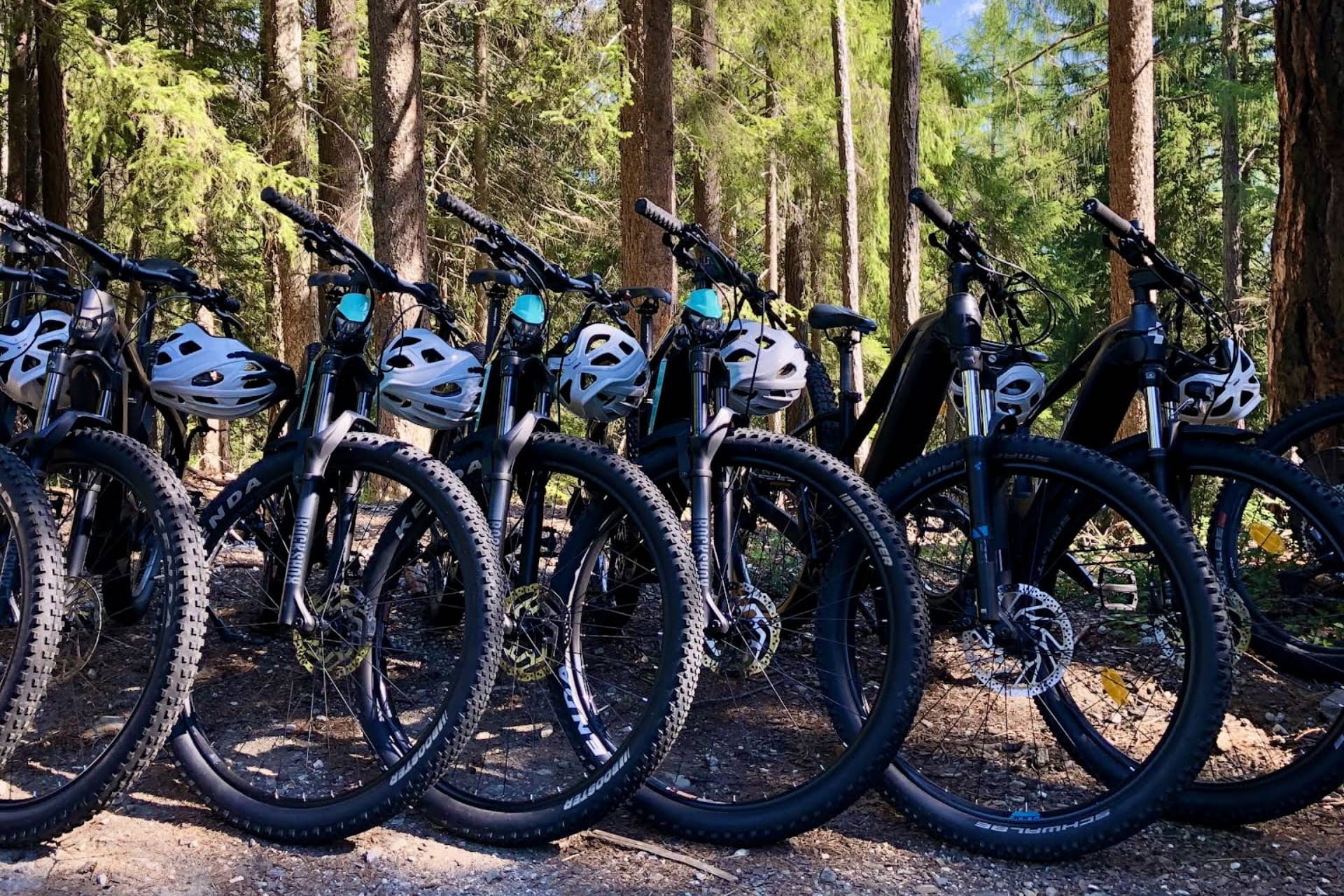 Bikerental Leitner – Foto 2