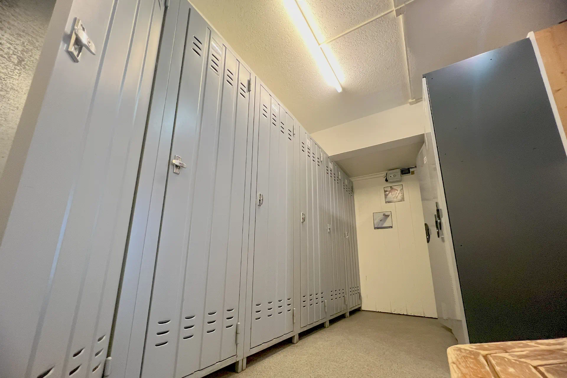 Noleggio sci Marilleva 1400, Mezzana - Noleggio Sci Cavallero - Foto 17